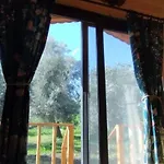 Dom wakacyjny Olive Garden Bungalow *