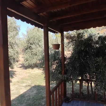 Olive Garden Bungalow * Fethiye