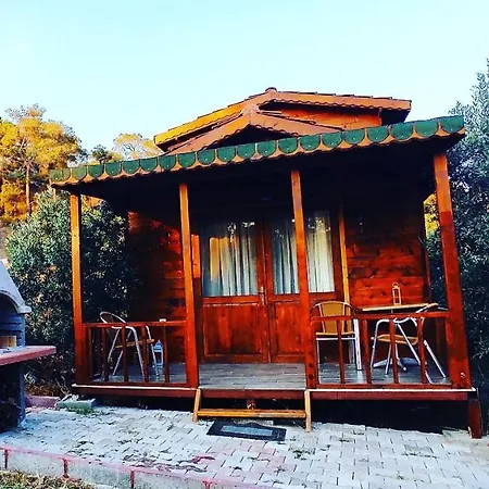 Semesterbostad Olive Garden Bungalow