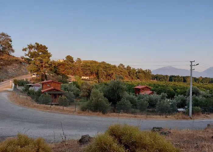 Semesterbostad Olive Garden Bungalow Fethiye