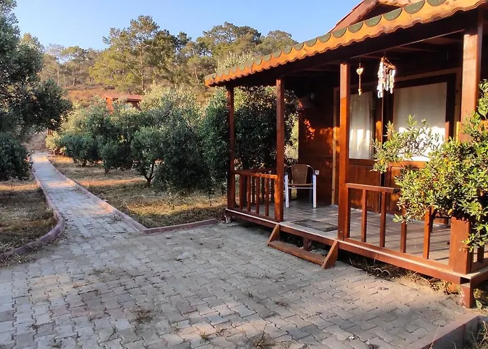 Olive Garden Bungalow Semesterbostad *