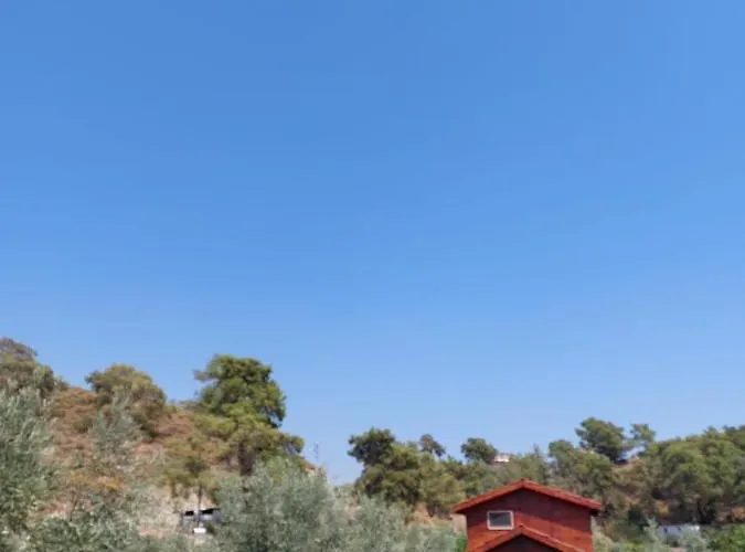 Olive Garden Bungalow * פאטהיה
