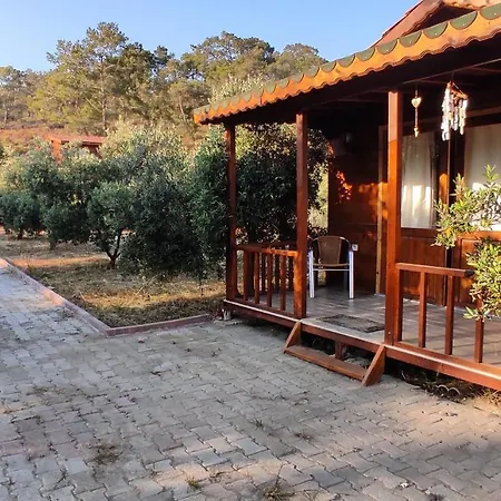 Olive Garden Bungalow Tatil Evi *