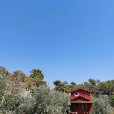 Olive Garden Bungalow * Фетхие